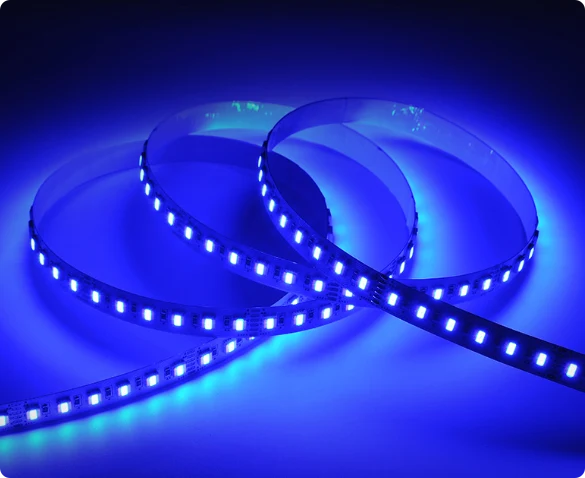 12MM Wide RGBCCT LED Strip Light - DC12V / 24V | 5-In-1 SMD5050-60 LEDs/M | IP00 / IP65 / IP67 | for Mirror, Kitchen Cabinet, Bedroom | 5/50M