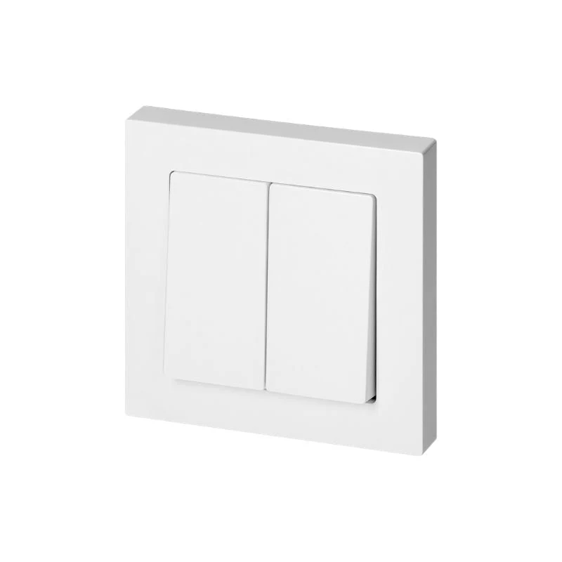 Interrupteur Double Encastré 10A 250V + Plaque de Finition Simple - Blanc