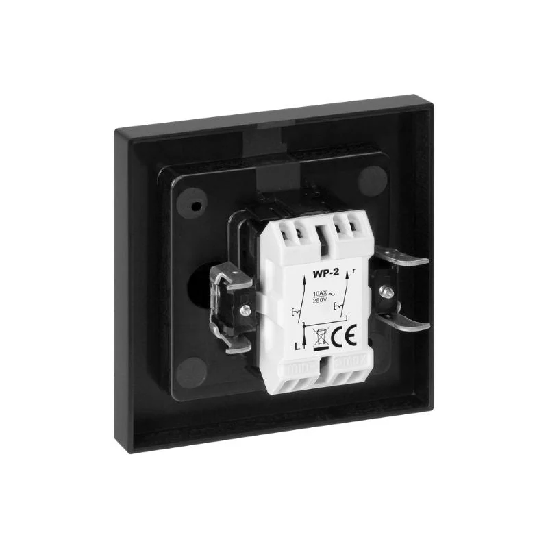 Interrupteur Double Encastré 10A 250V + Plaque de Finition Simple - Noir