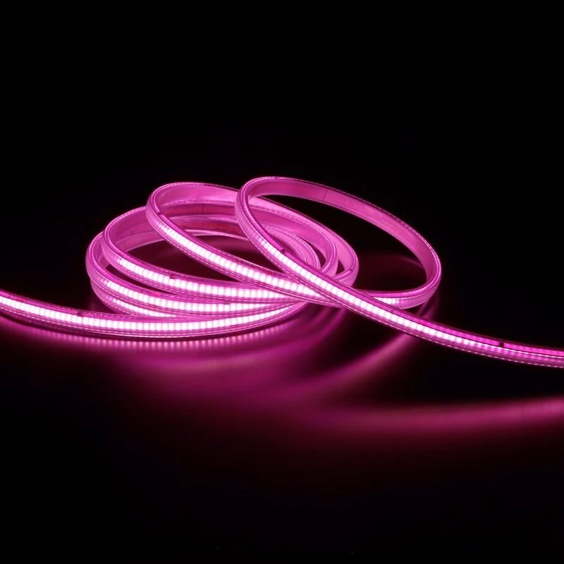 Ruban LED COB 50M AC 296 LED/m 220V 10W/m IP65 - Rose