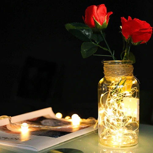 GUIRLANDE LUMINEUSE DE JARDIN, SOLAIRE