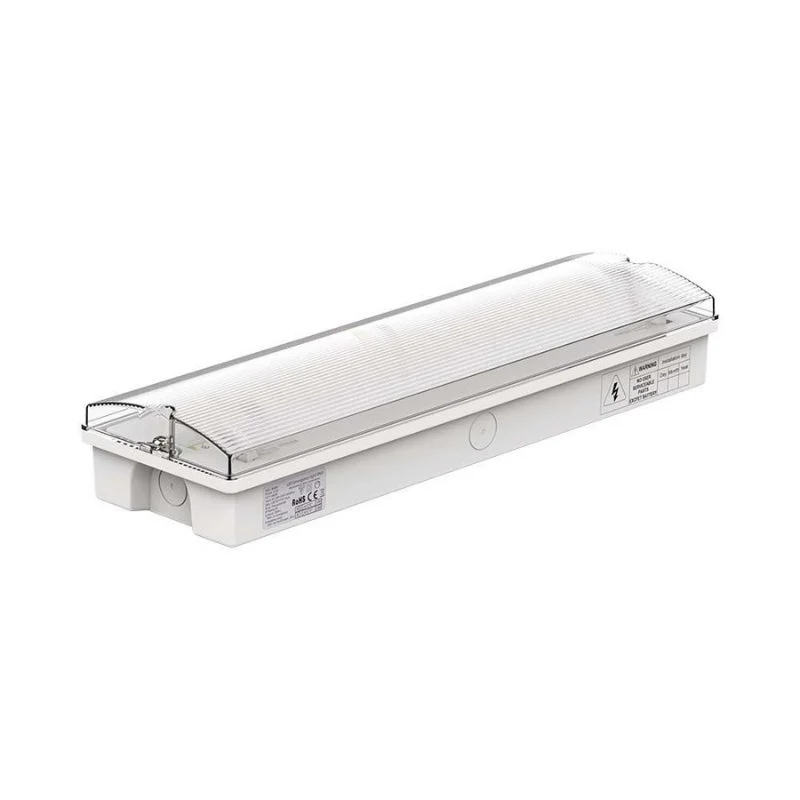 Bloc de Secours BAES LED Bouton Autotest 3W IP65