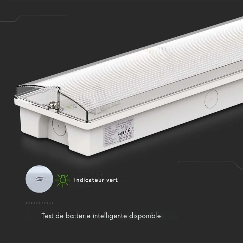 Bloc de Secours BAES LED Bouton Autotest 3W IP65