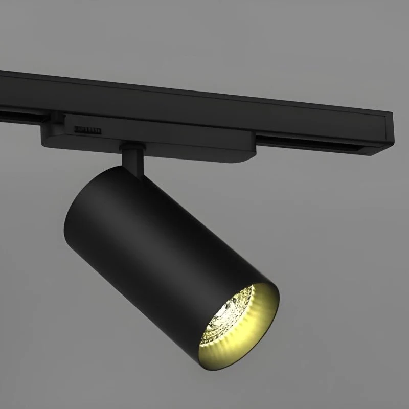 Spot LED sur Rail COB Triphasé 10W 36° Noir Philips - Garantie 5 ans