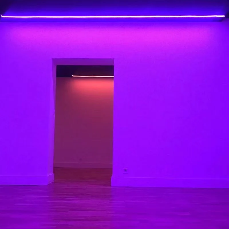 RGB Addressable Neon LED Strip Light | WS2812 SMD5050 60LEDs/M | 16×16mm Flexible Silicone Neon Rope | IP67 Waterproof | Top-Bend & Side-Bend Options | 5M Roll Kit with Power Adapter & Controller