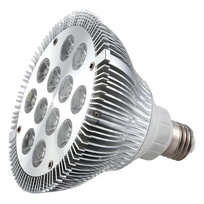 12W (12x1W) PAR38 LED Lamp with E27 Edison Screw Base 90W Equivalent 100-240V AC Silver Housing Indoor Type