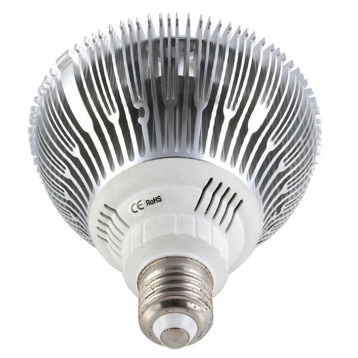 12W (12x1W) PAR38 LED Lamp with E27 Edison Screw Base 90W Equivalent 100-240V AC Silver Housing Indoor Type