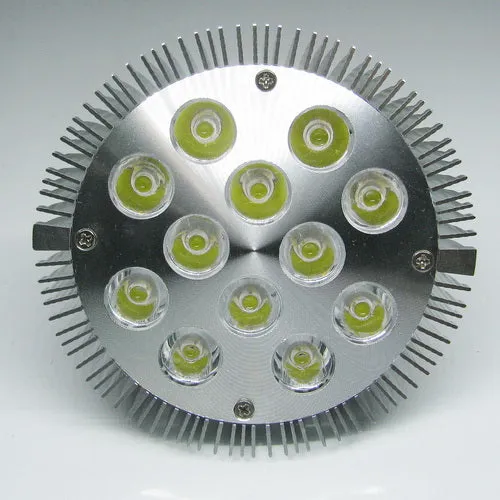 12W (12x1W) PAR38 LED Lamp with E27 Edison Screw Base 90W Equivalent 100-240V AC Silver Housing Indoor Type