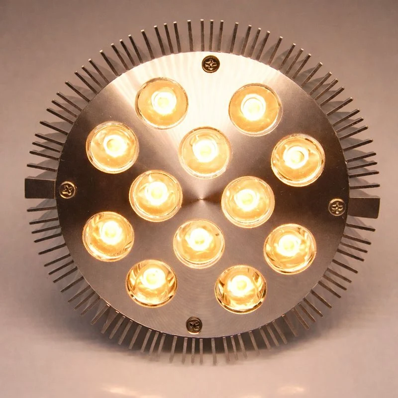 12W (12x1W) PAR38 LED Lamp with E27 Edison Screw Base 90W Equivalent 100-240V AC Silver Housing Indoor Type