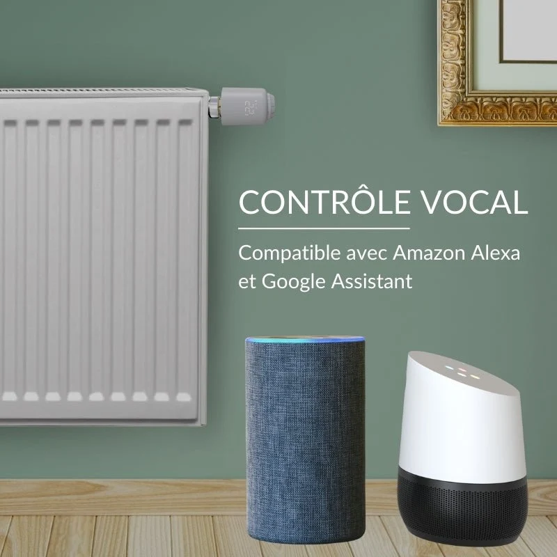 Kit de 2 Têtes Thermostatiques Connectées Universelle + Passerelle ZigBee