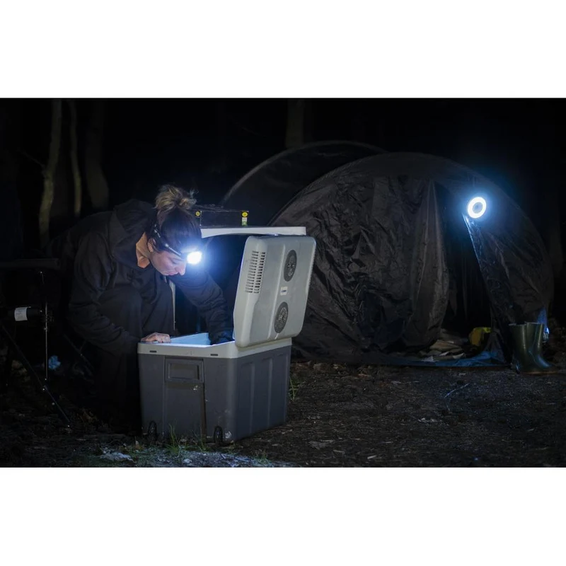 Lampe de camping LEDVANCE FLASHLIGHT, lampe mobile compacte, 180 lm, 6500 K, blanc froid