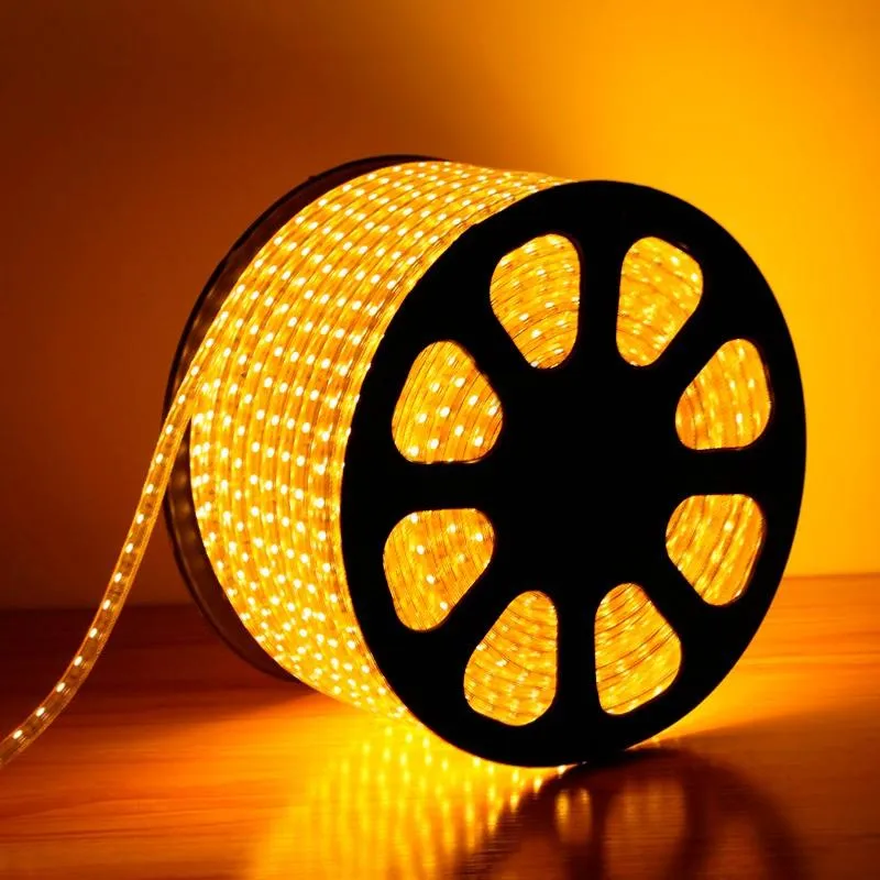 Ruban LED 50M 220V RGB Recoupable 5050 IP65 60LED/m + Télécommande
