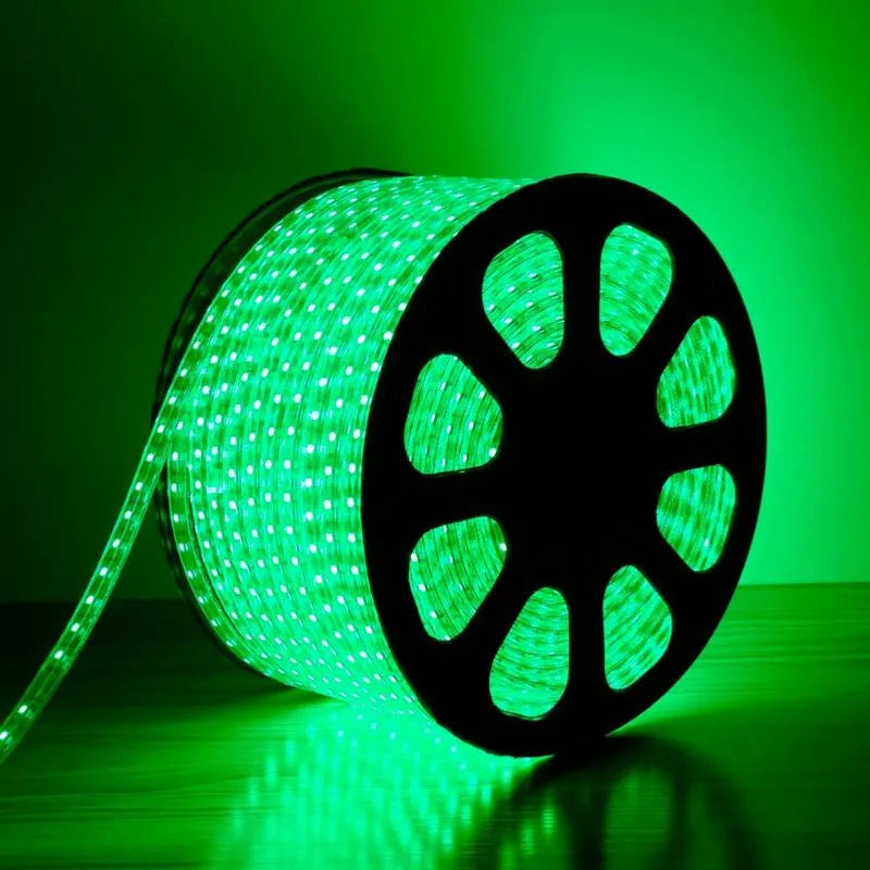 Ruban LED 50M 220V RGB Recoupable 5050 IP65 60LED/m + Télécommande