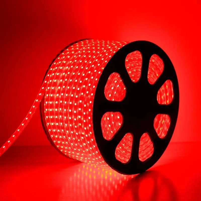 Ruban LED 50M 220V RGB Recoupable 5050 IP65 60LED/m + Télécommande