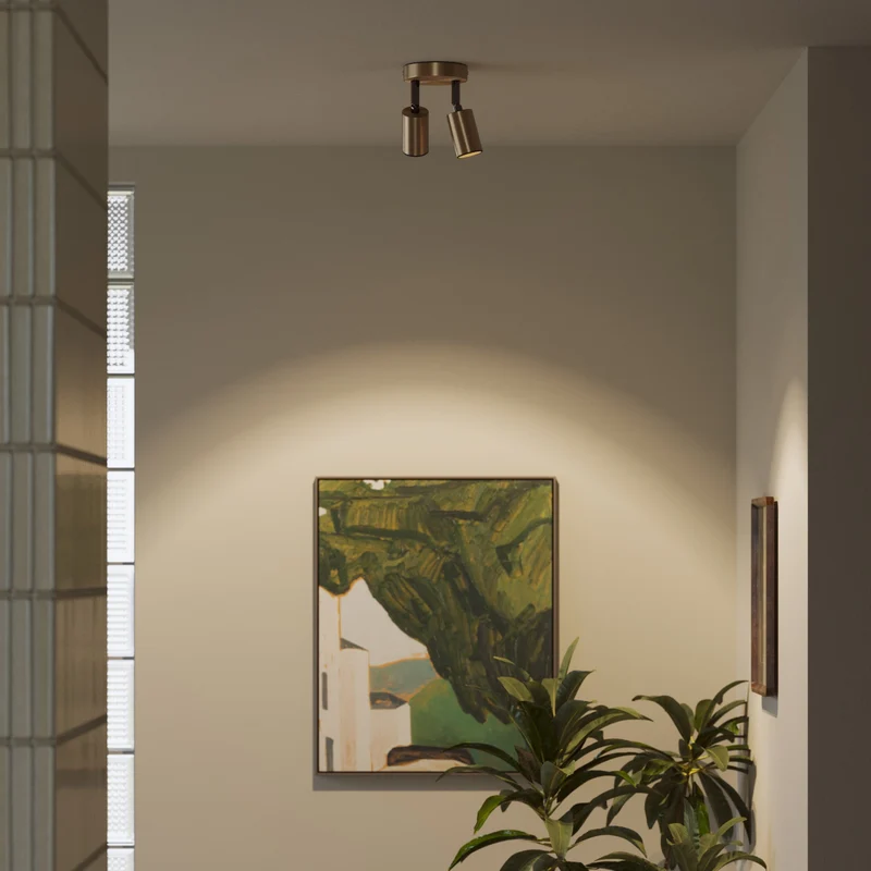 Lampe murale ou plafond avec 2 Spots GU10 Bispot orientables - Bronze satiné / Noir