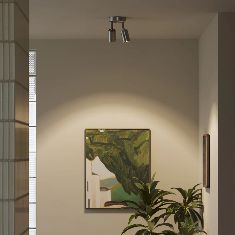 Lampe murale ou de plafond avec 2 Spots GU10 Bispot orientables - Titane satiné