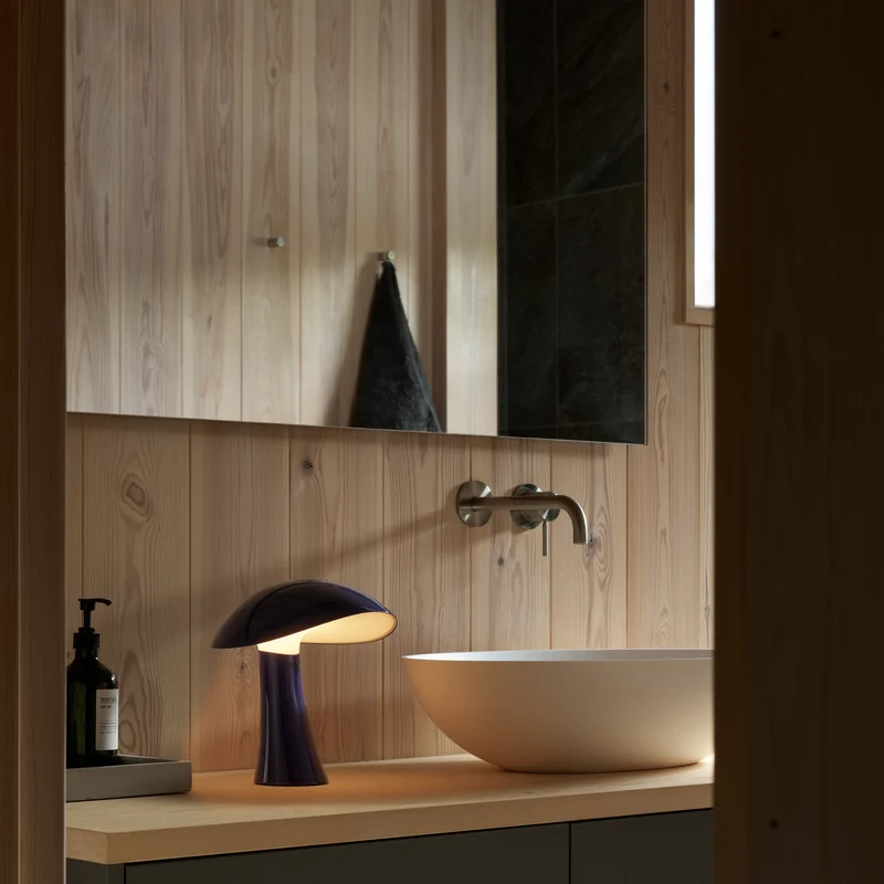 Rumee 220 Portable Lamp