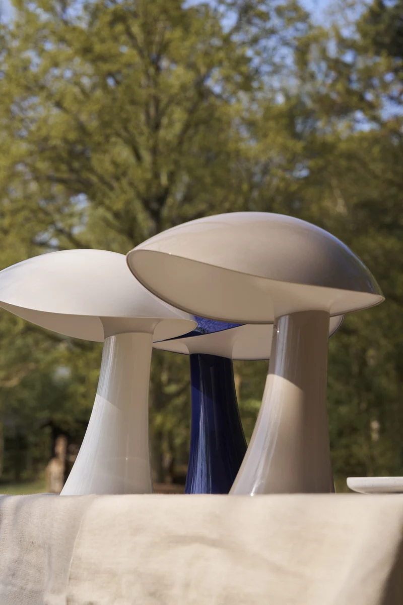 Rumee 220 Portable Lamp