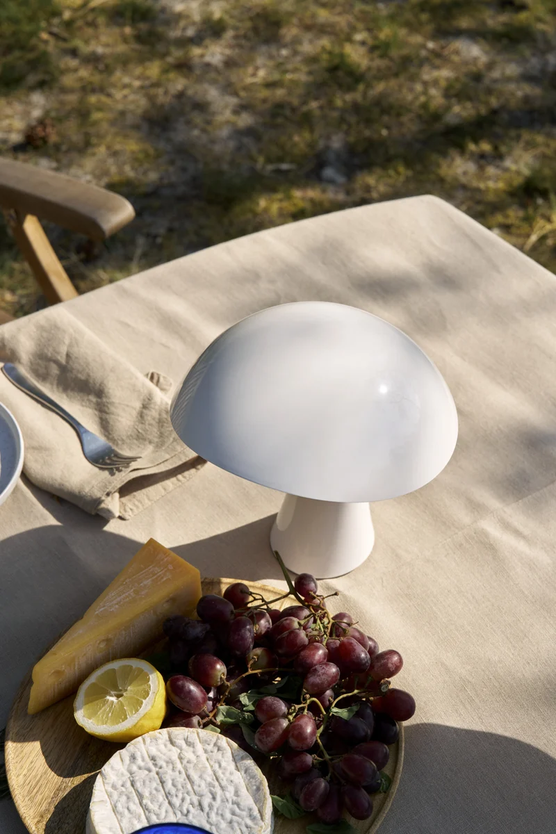 Rumee 220 Portable Lamp