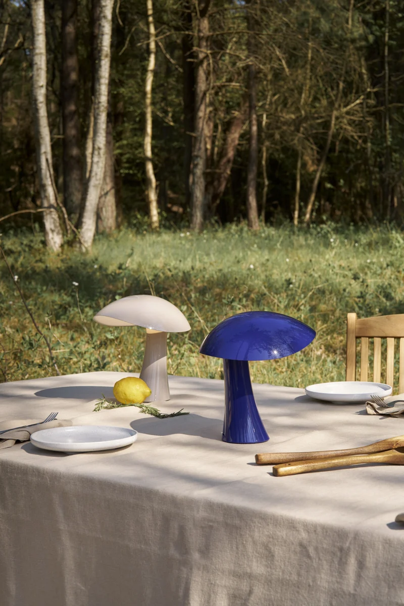 Rumee 220 Portable Lamp