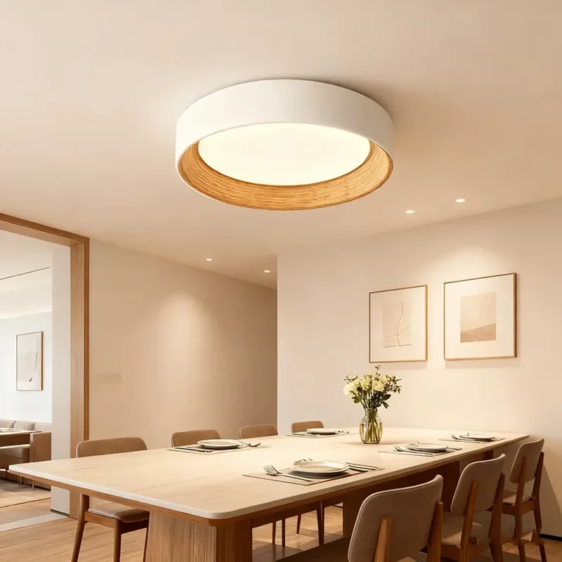 Luminaire Plafonnier | LAMPARA