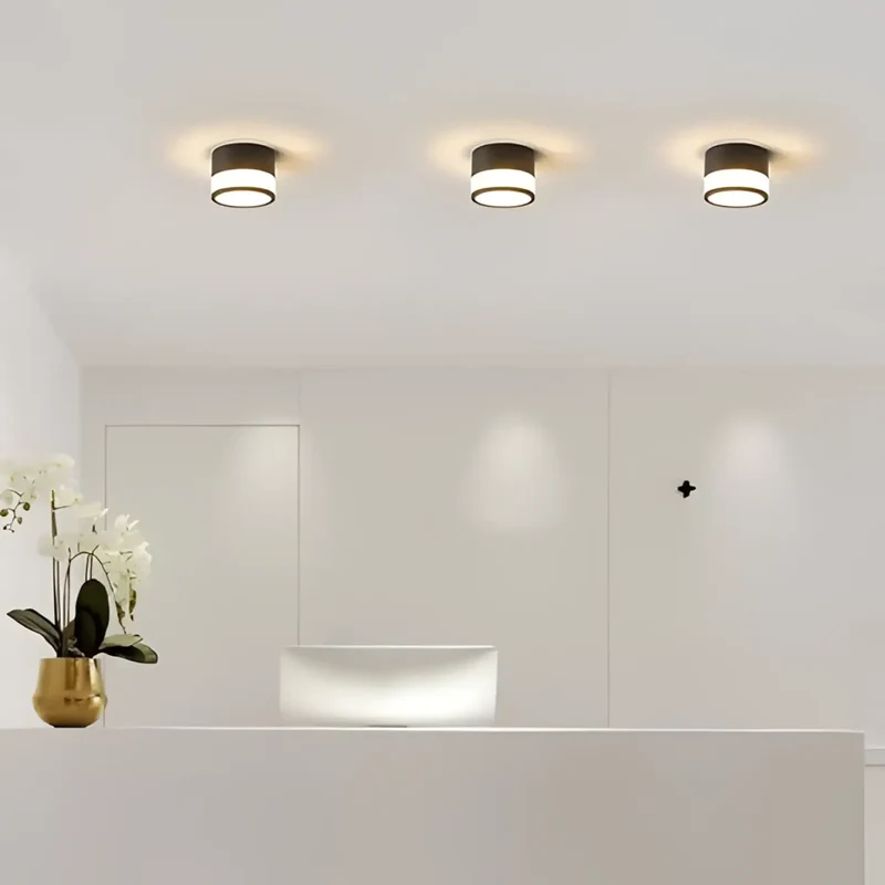 Luminaire Plafonnier | EBLOUIA