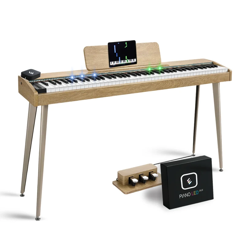 Donner DDP-60 + Piano LED Plus 2026®