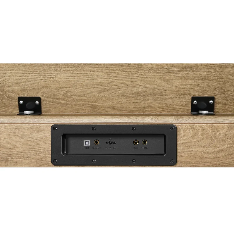 Donner DDP-60 + Piano LED Plus 2026®