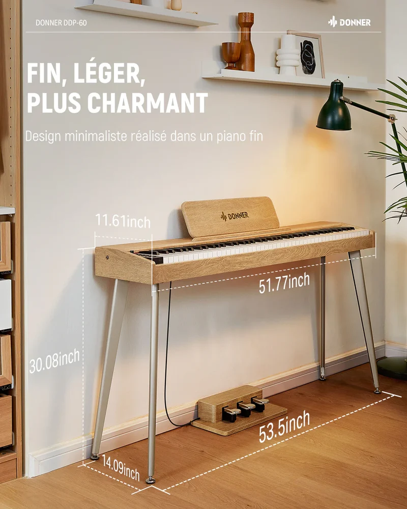 Donner DDP-60 + Piano LED Plus 2026®