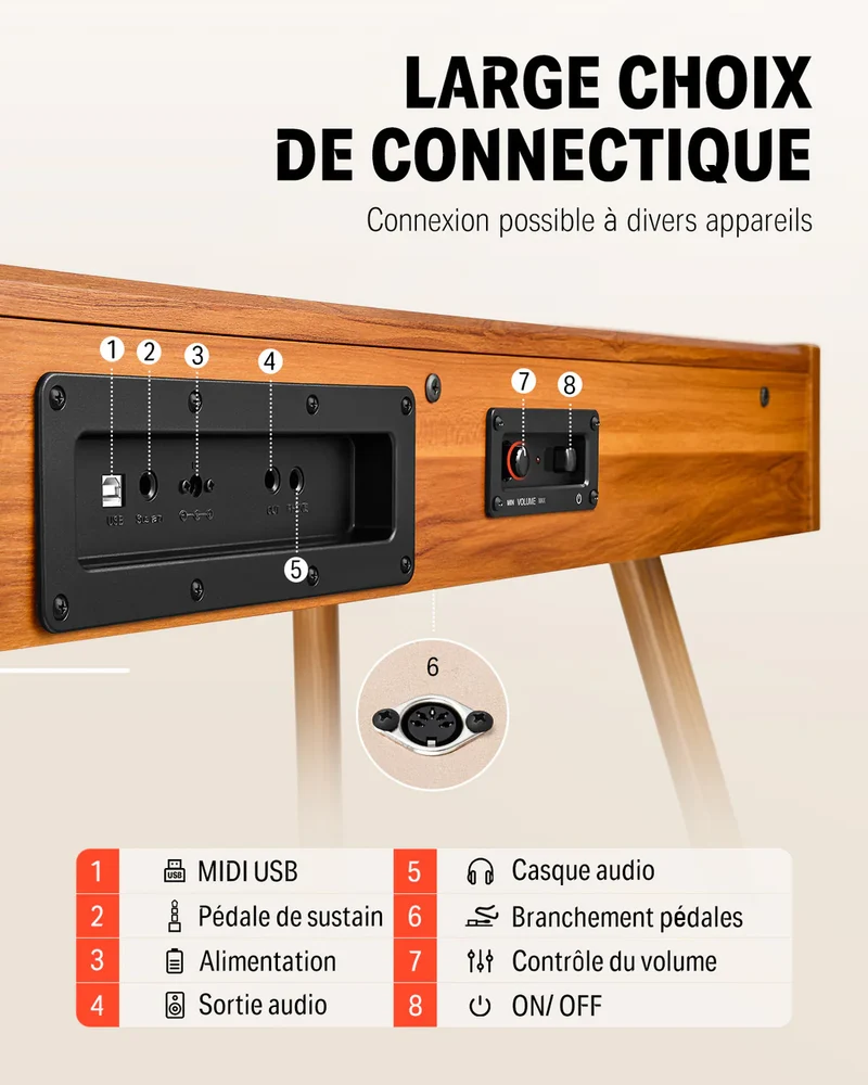 Donner DDP-80 + Piano LED Plus 2026®