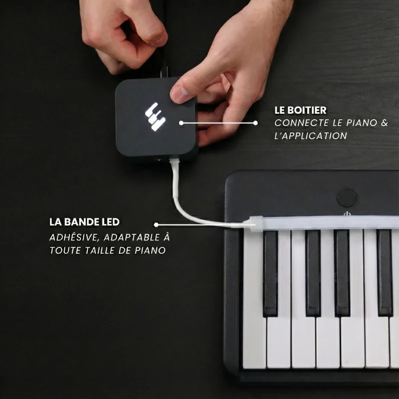 Piano LED Plus 2026