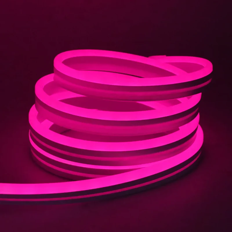 DC 24V RGB Neon Rope LED Strip Light - App Control, Music Sync, Waterproof, AC 110V/220V