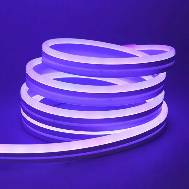 DC 24V RGB Neon Rope LED Strip Light - App Control, Music Sync, Waterproof, AC 110V/220V