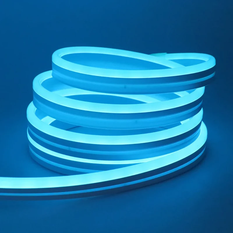 DC 24V RGB Neon Rope LED Strip Light - App Control, Music Sync, Waterproof, AC 110V/220V