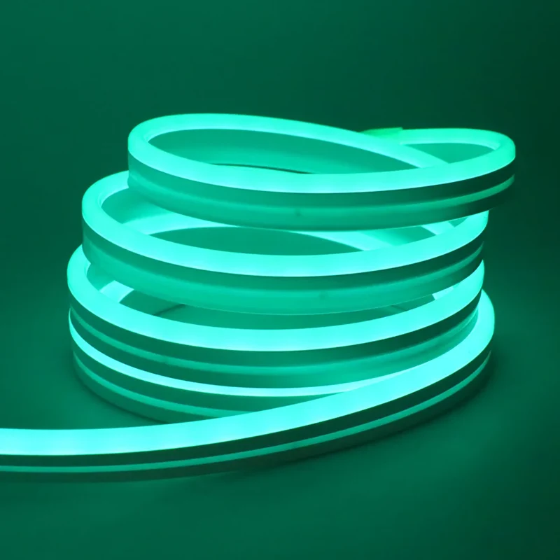 DC 24V RGB Neon Rope LED Strip Light - App Control, Music Sync, Waterproof, AC 110V/220V