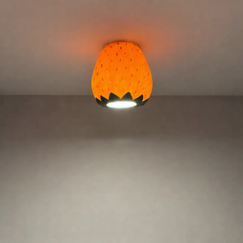Luminaire Plafonnier | BERRY