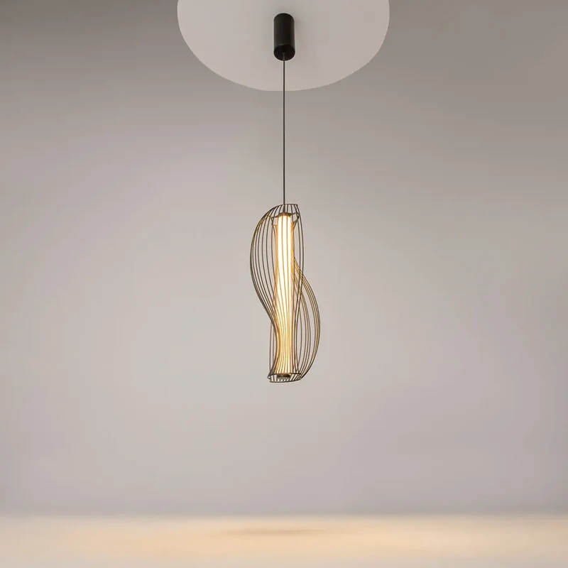 Suspension Luminaire | SHADOWS OF THE PAST (Cadre Sculptural)
