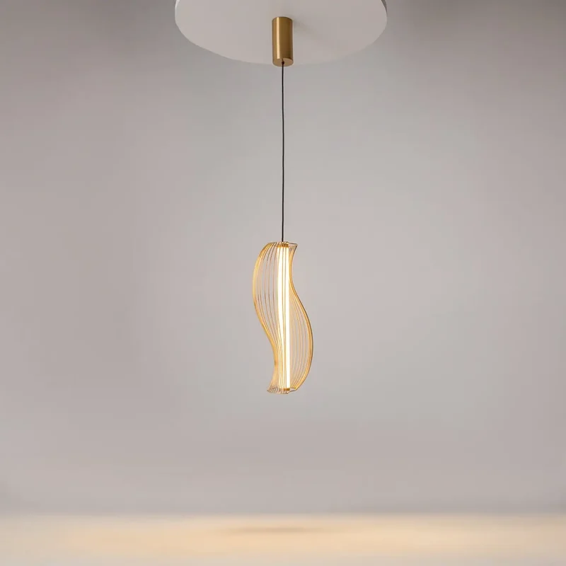 Suspension Luminaire | SHADOWS OF THE PAST (Cadre Sculptural)