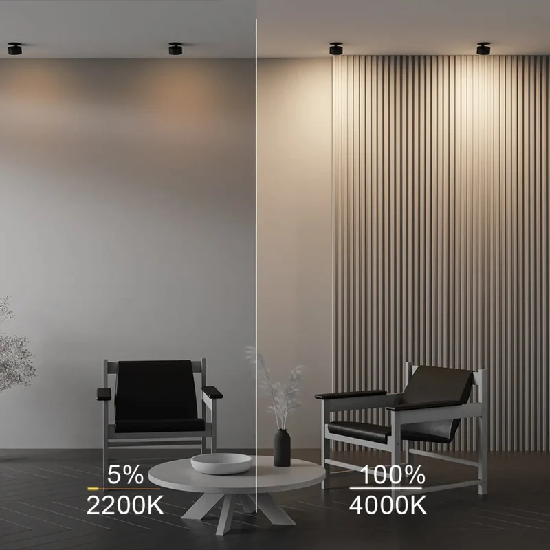 Spot | ONDA (Dim To Warm)