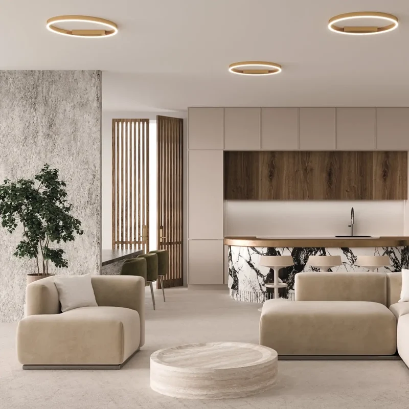 Luminaire Plafonnier | RIM (Anneau)