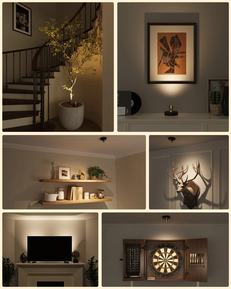 EZVALO EZSFL01 Spotlight