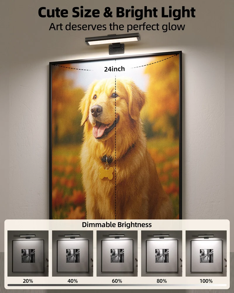 EZVALO EZPL01 Picture Light