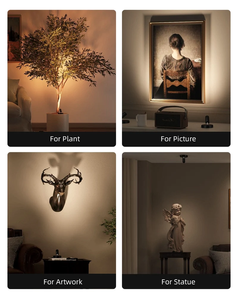 EZVALO EZL26 Spotlight