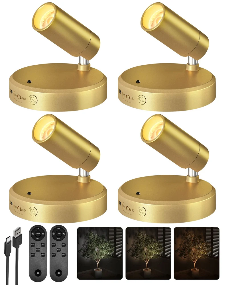EZVALO EZL26 Spotlight