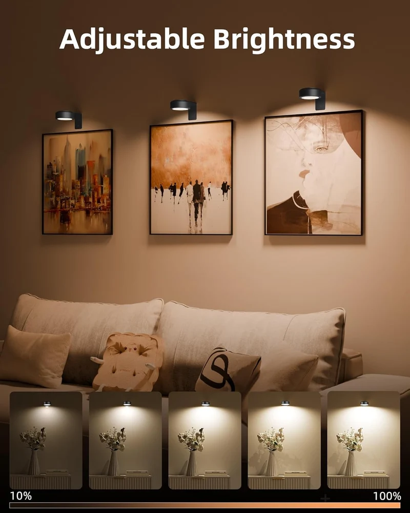 EZVALO EZL36 Picture Lights