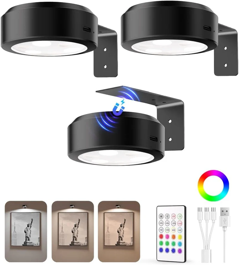 EZVALO EZL36 Picture Lights