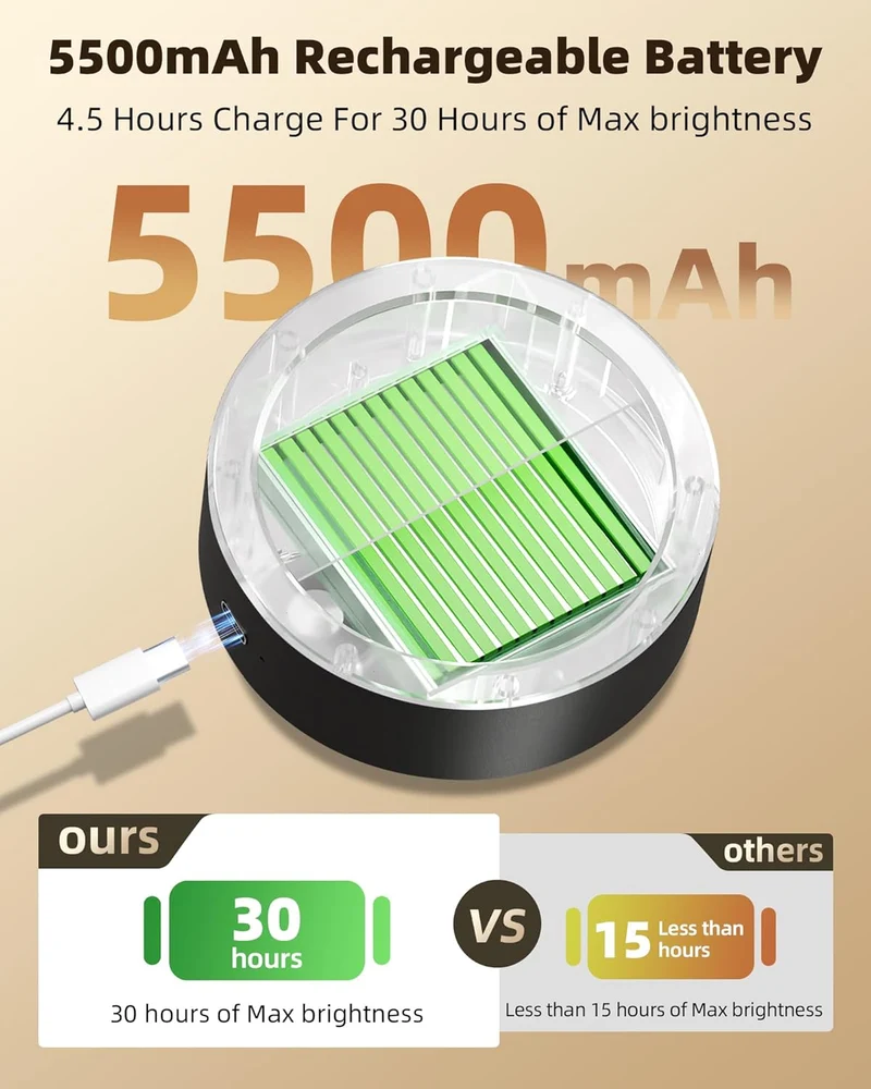 EZVALO EZL31 LED Wall Mounted Lights