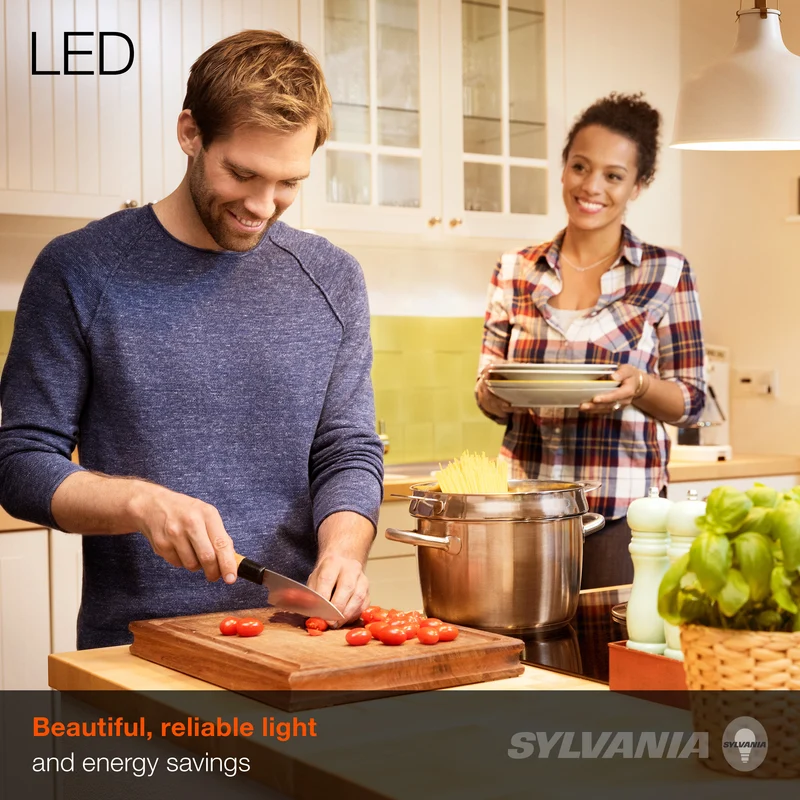 SYLVANIA LED A19 Light Bulb, 40W = 6W, Medium Base, Frosted Finish, 450 Lumens, Soft White - 12 PK