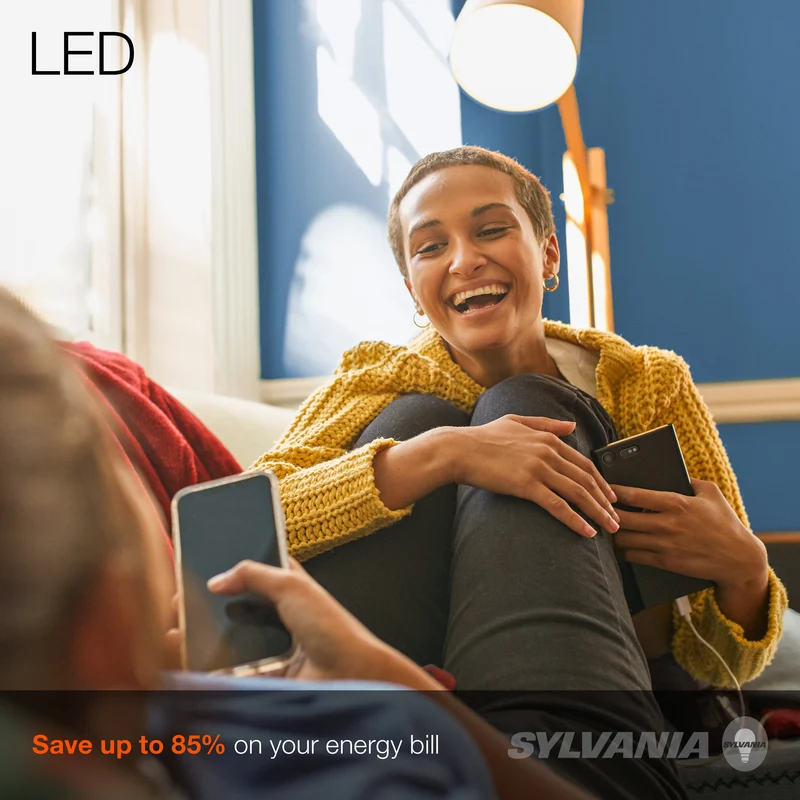 SYLVANIA A19 LED Light Bulb, 40W = 6W, Medium Base, Frosted Finish, 450 Lumens, Soft White - 2 PK