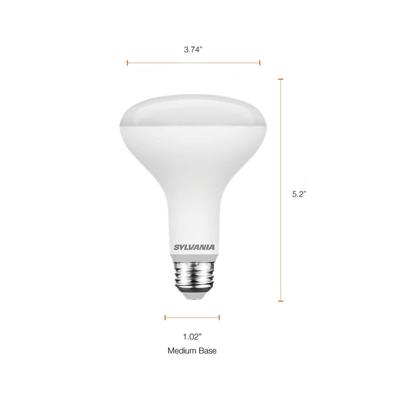 SYLVANIA 9W EverydayLED Light Bulb, BR30 LED, Dimmable, 550 Lumens, 5000K, Daylight - 16 PK